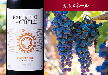 エスピリトゥ・デ・チリ・ヴィアジェロ・クラッシック・カルメネール