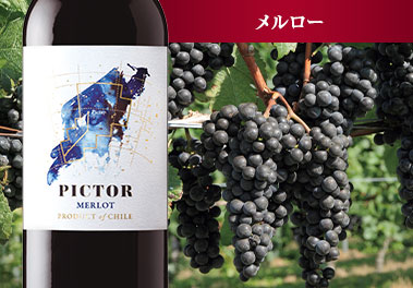 ピクター・メルロー