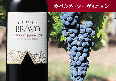 セロ・ブラヴォ・カベルネ・ソーヴィニヨン