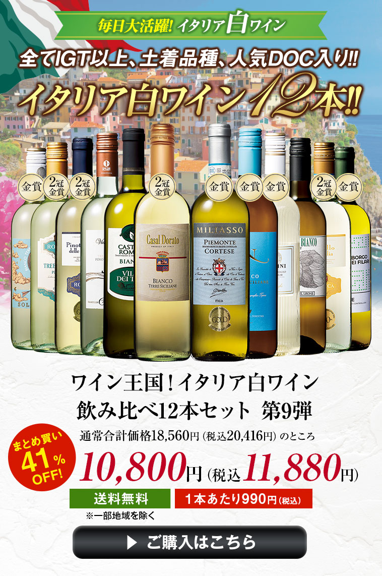 ワイン王国！イタリア白ワイン飲み比べ12本セット　第9弾