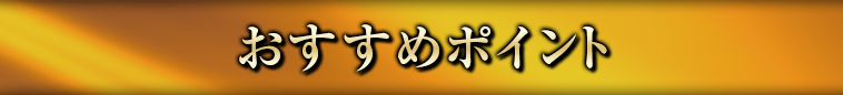 オススメポイント1