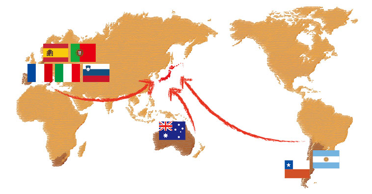 世界地図