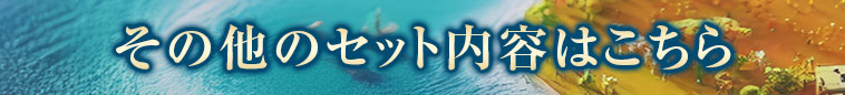 その他のセット内容はこちら