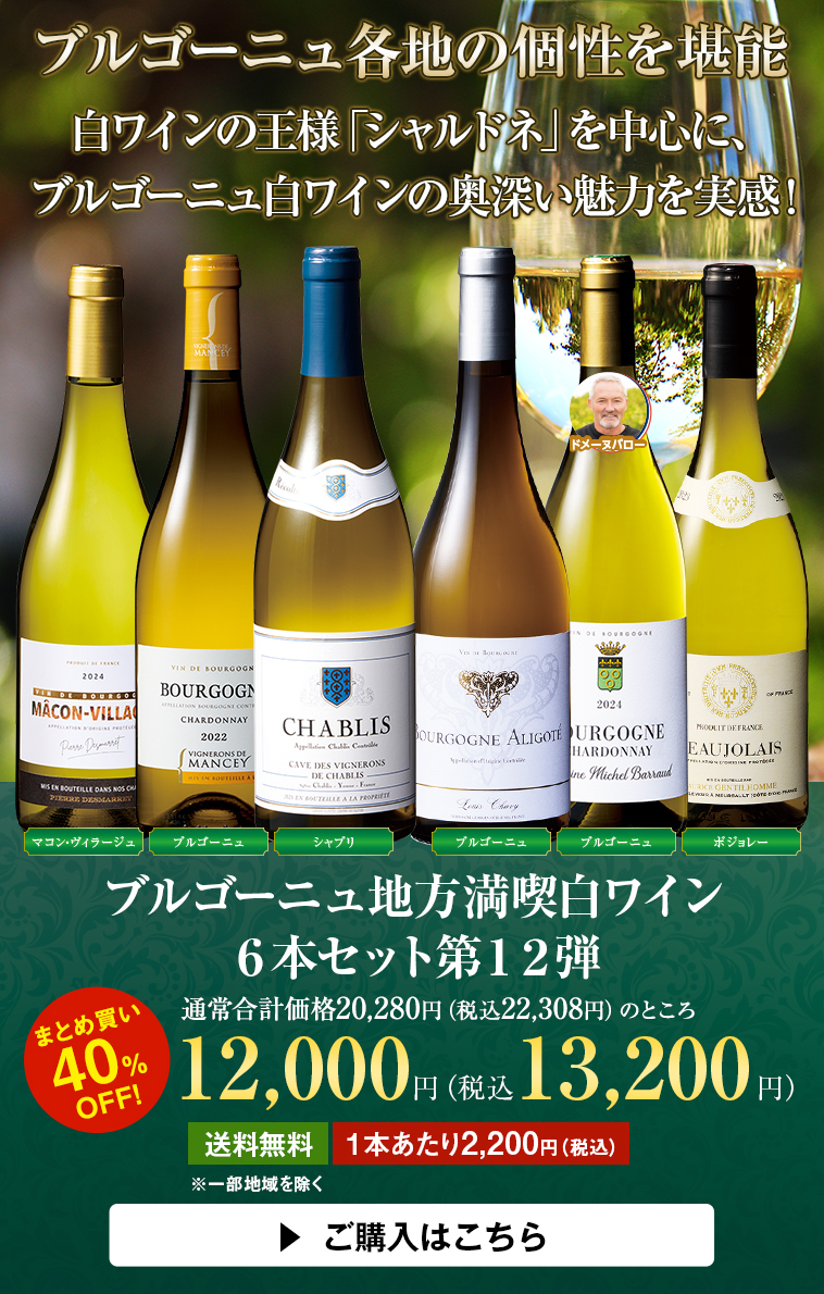 ブルゴーニュ地方満喫白ワイン6本セット第12弾