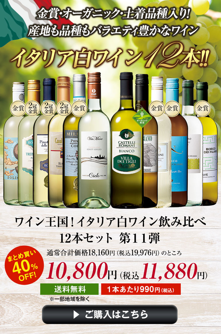 ワイン王国！イタリア白ワイン飲み比べ12本セット　第１１弾