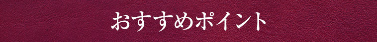 おすすめポイント