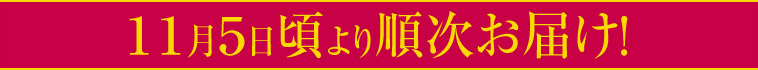 11月５日頃より順次お届け！