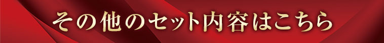 その他のセット内容はこちら