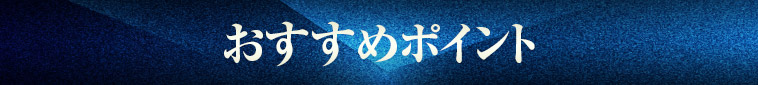 おすすめポイント
