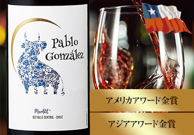 パブロ・ゴンザレス・メルロー