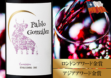 パブロ・ゴンザレス・カルメネール