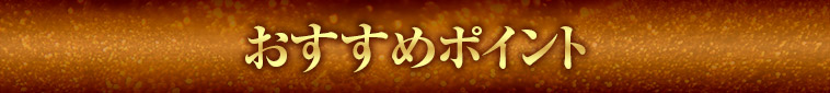 おすすめポイント