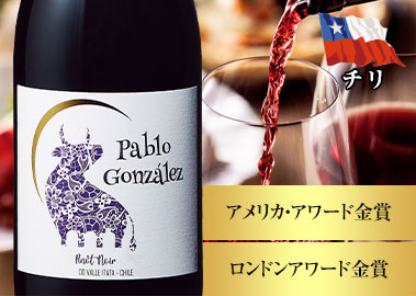 パブロ・ゴンザレス・ピノ・ノワール