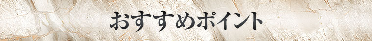おすすめポイント