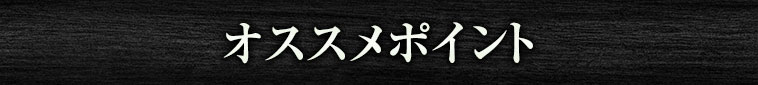 オススメポイント