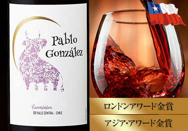 パブロ・ゴンザレス・カルメネール