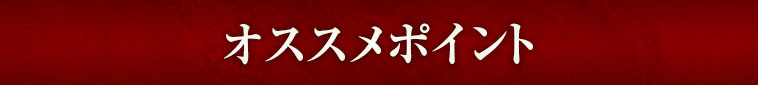 オススメポイント