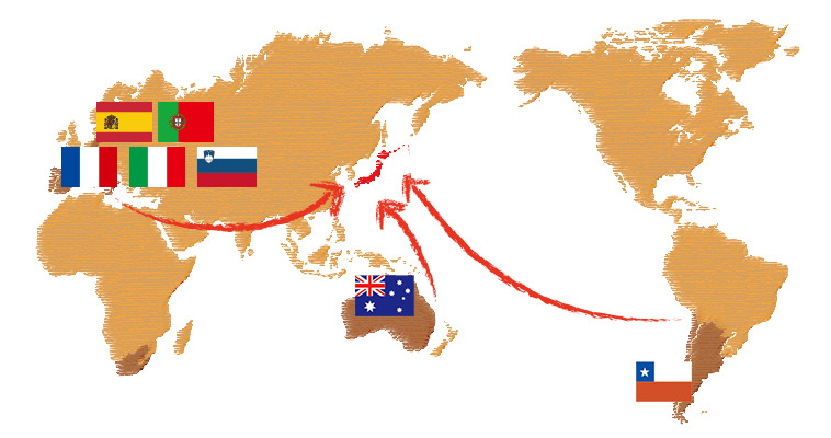世界地図