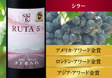 ルタ5 ・シラー