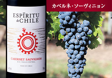 エスピリトゥ・ デ・ チリ・ヴィアジェロ・クラッシック カベルネ・ソーヴィニヨン