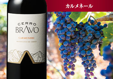 セロ・ブラヴォ・カルメネール