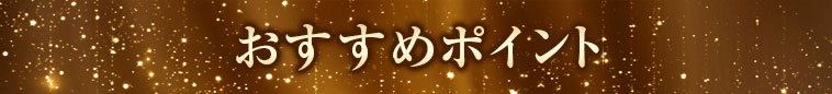 オススメポイント