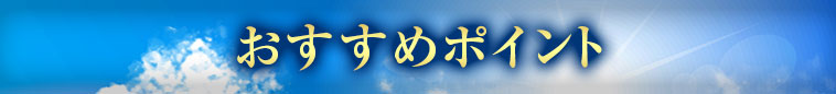 オススメポイント