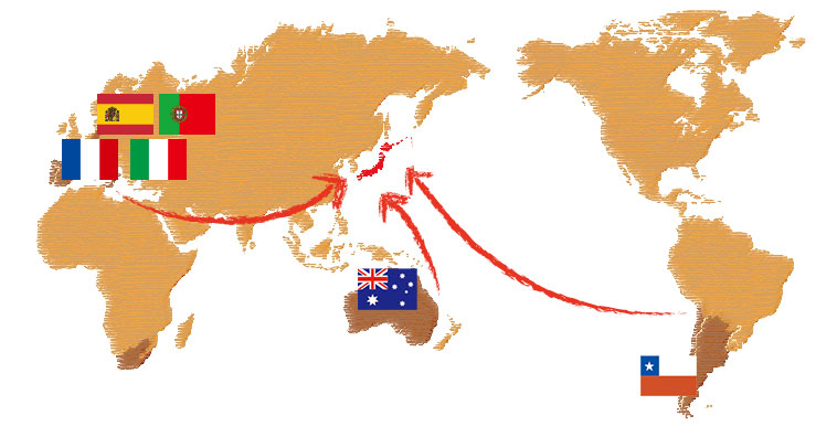 世界地図