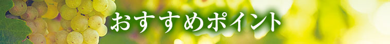 オススメポイント