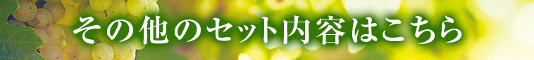 その他のセット内容はこちら