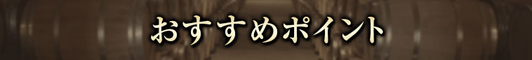 オススメポイント