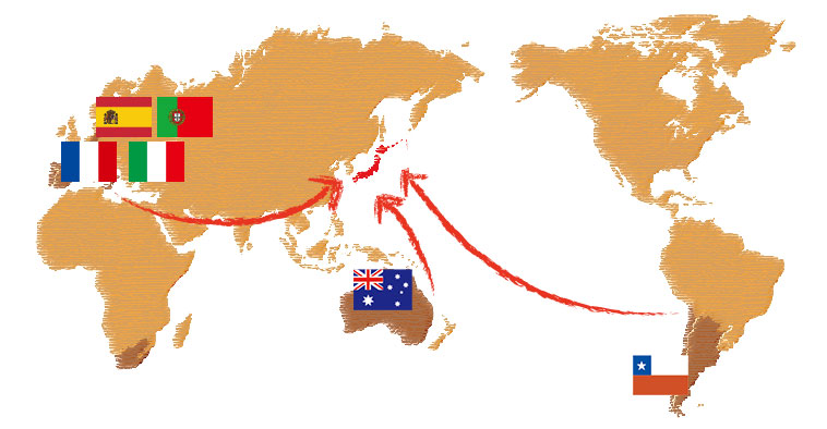 世界地図