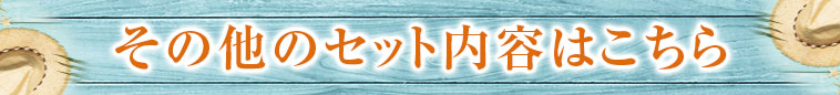 その他のセット内容はこちら