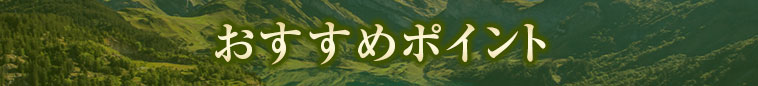 おすすめポイント