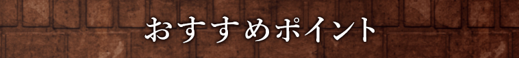 オススメポイント