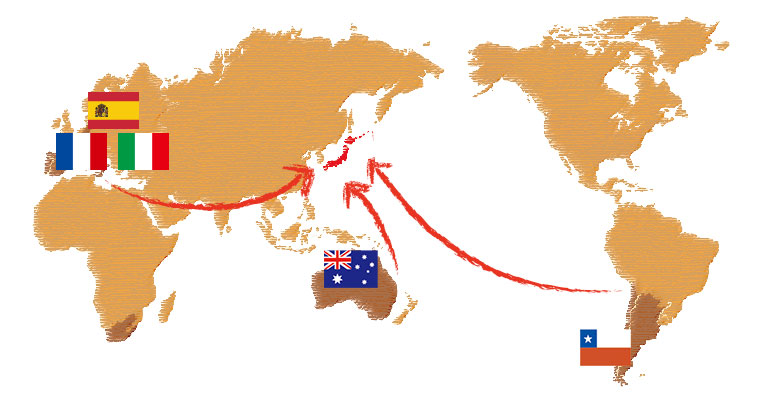 世界地図