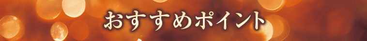 オススメポイント