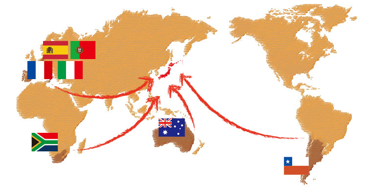 世界地図