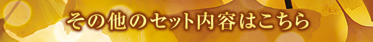 セット内容はこちら