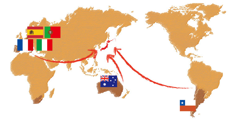 世界地図