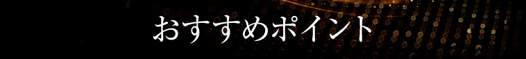 おすすめポイント