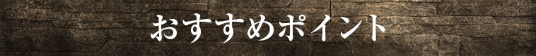 おすすめポイント