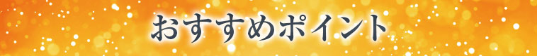 おすすめポイント