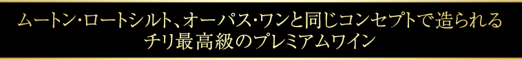 ムートン・ロートシルト、オーパス・ワンと同じコンセプトで造られる チリ最高級のプレミアムワイン