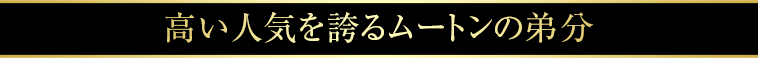 高い人気を誇るムートンの弟分