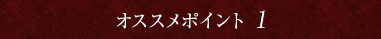オススメポイント1
