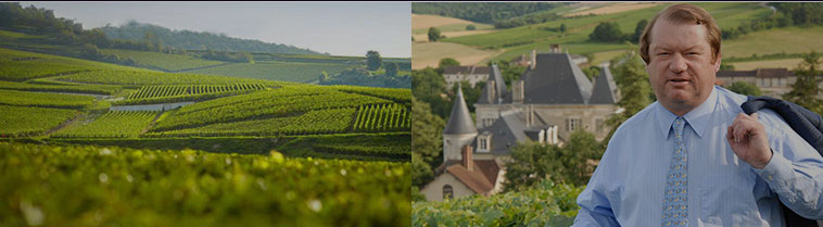 生産者　シャンパーニュ・G.H.マーテル