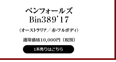 ペンフォールズ Bin 389