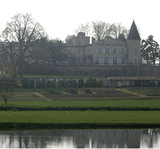 生産者　シャトー・モン・ペラ