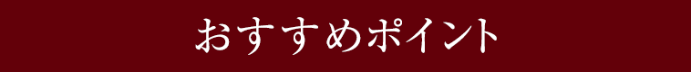 おすすめポイント